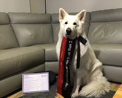 Zeke showing his awards