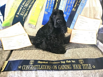 Billy with a host of awards