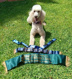 Sheena with competition ribbons