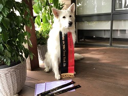 Holly with awards