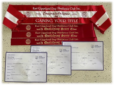 Rikki's ribbons and awards