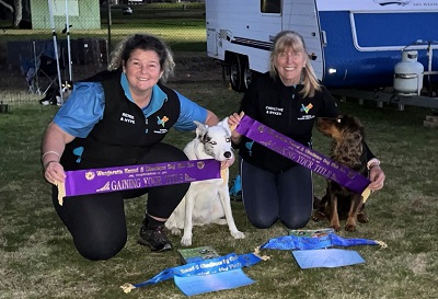 Arctic and Lyryk with their handlers