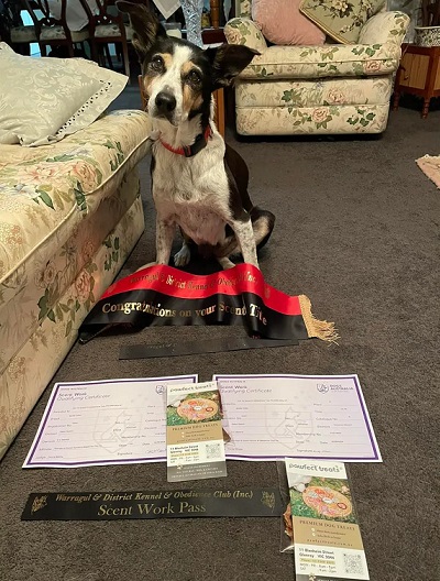 Tully with his awards